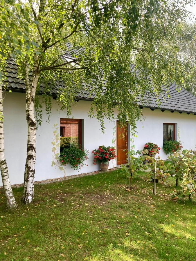 Winnica De Sas Krosnice Exterior foto